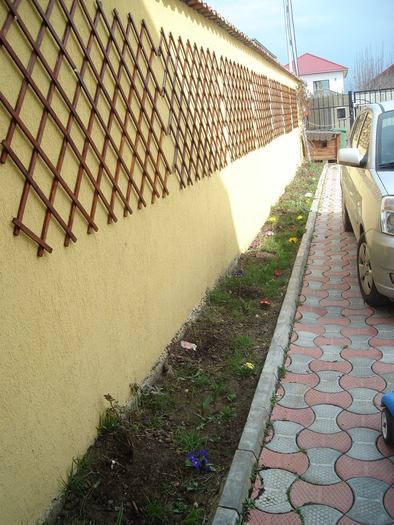 DSC07457 - Primavara 2010
