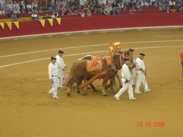 corrida de torros 13-10-2008 015