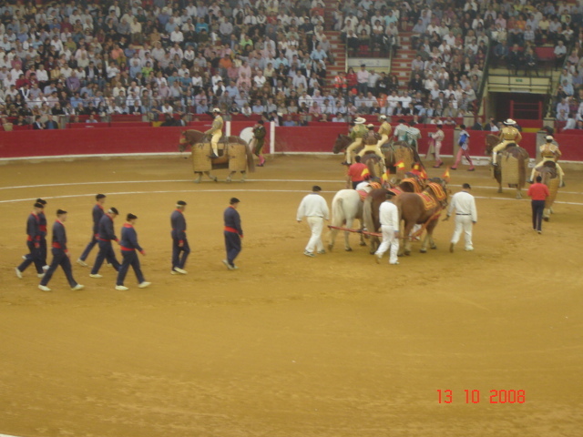 corrida de torros 13-10-2008 016