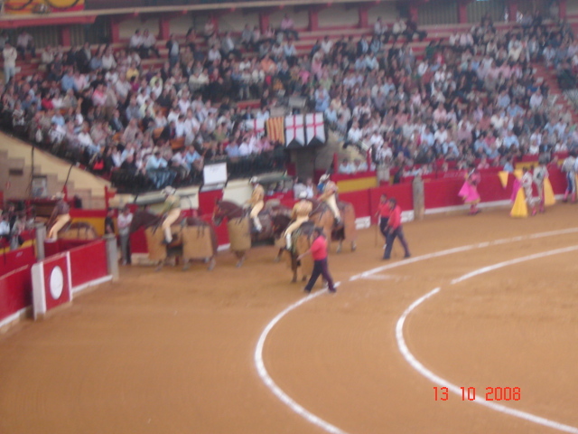 corrida de torros 13-10-2008 017 - Corrida de torros 2008