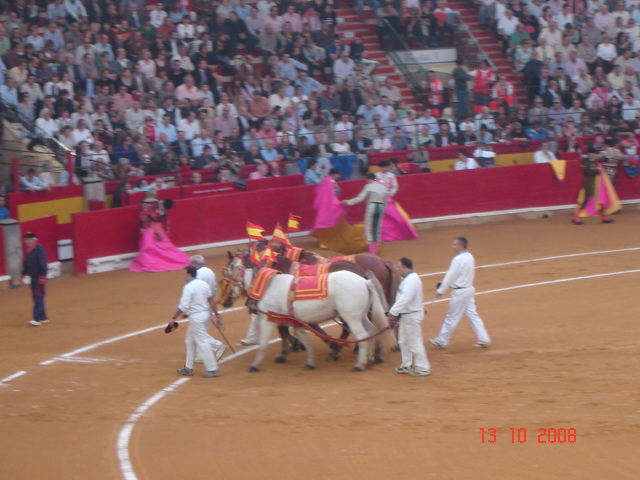 corrida de torros 13-10-2008 019