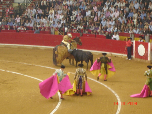 corrida de torros 13-10-2008 026