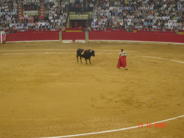 corrida de torros 13-10-2008 031 - Corrida de torros 2008