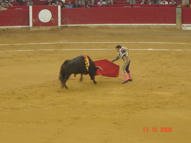 corrida de torros 13-10-2008 033