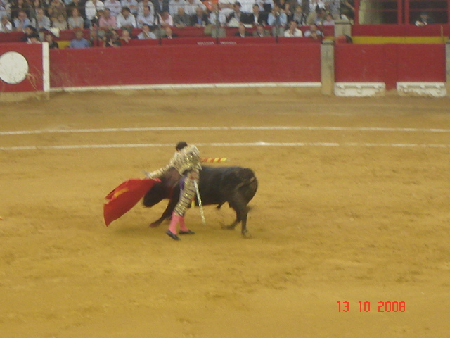 corrida de torros 13-10-2008 034 - Corrida de torros 2008