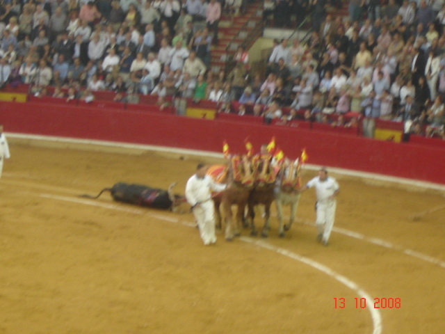 corrida de torros 13-10-2008 042 - Corrida de torros 2008