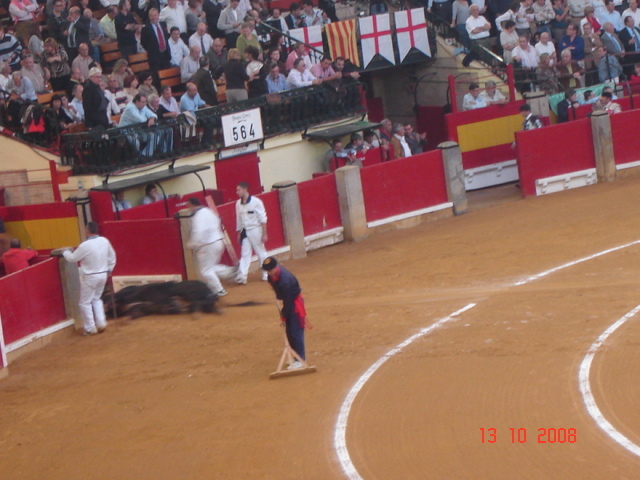 corrida de torros 13-10-2008 045 - Corrida de torros 2008