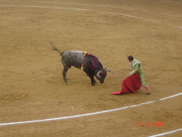 corrida de torros 13-10-2008 055