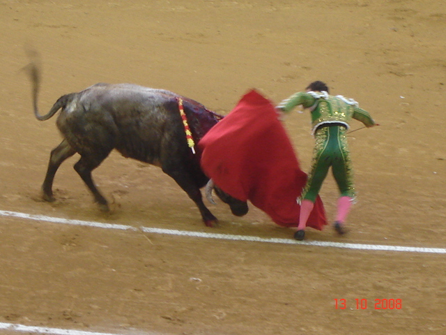 corrida de torros 13-10-2008 056
