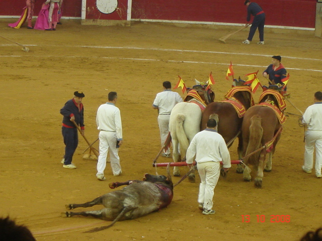 corrida de torros 13-10-2008 059