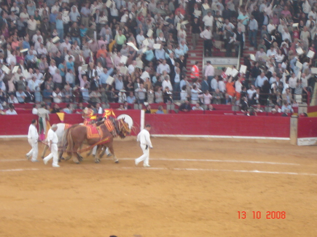 corrida de torros 13-10-2008 067