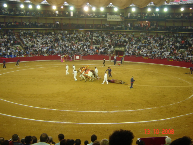 corrida de torros 13-10-2008 069