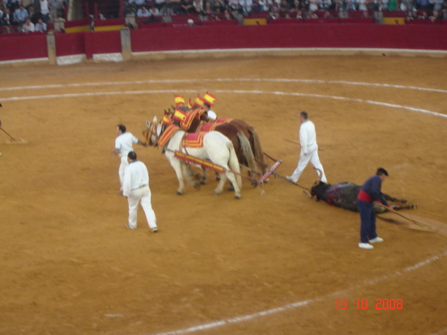 corrida de torros 13-10-2008 077