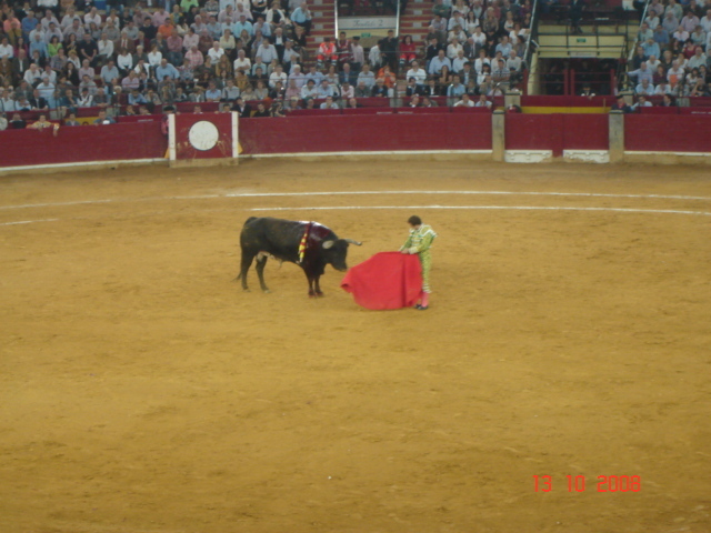 corrida de torros 13-10-2008 078