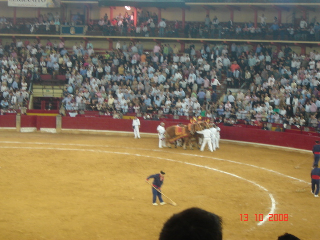 corrida de torros 13-10-2008 081