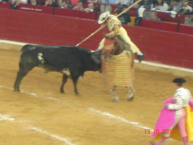 corrida de torros 13-10-2008 083