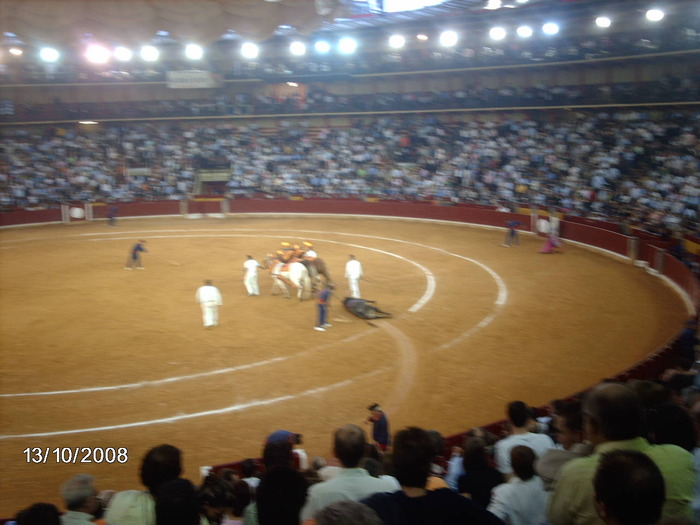 IMAG0877 - Corrida de torros 2008