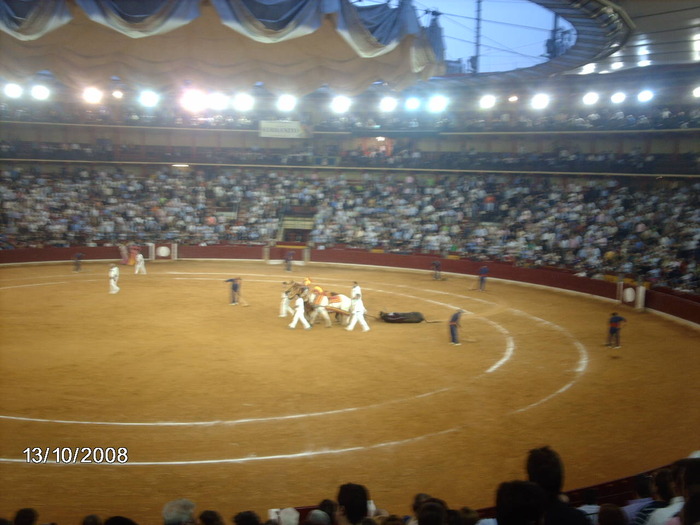 IMAG0878 - Corrida de torros 2008