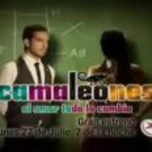 Camaleones_1266069690_2009