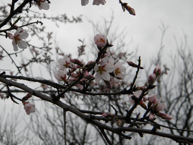 DSCN5116