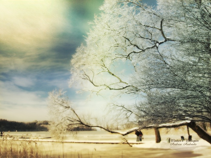 digital_manipulated_landscape_photography_0_winter_s_whisper - 0 Pt ca asa sunteti uni