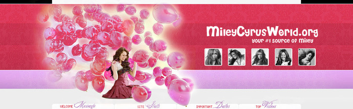 mileycyrusworldbanner