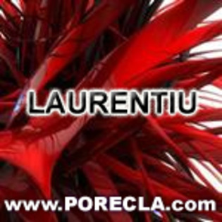 220-LAURENTIU%20avatare%20colorate - poze nume