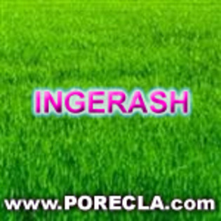 712-INGERASH%20avatare%20iarba%20verde - poze nume