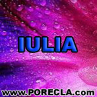 600-IULIA%20ingineru