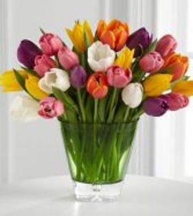 the-better-homes-and-gardens-spring-tulip-bouquet-25-dutch-tulips-in-hand-blow-glass-vase-on-sale-re - flori