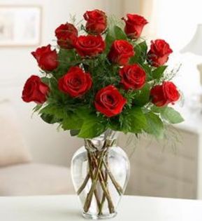 san-diego-rose-companys-perfect-dozen-12-red-roses-LG - flori