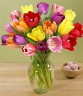 san-diego-rose-company-15-mixed-tulips-on-sale-this-week-only-retail-6995-SM - flori