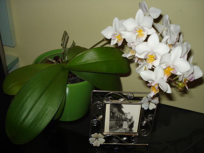 TREI GENERATII:EU,MAMA SI BUNICA