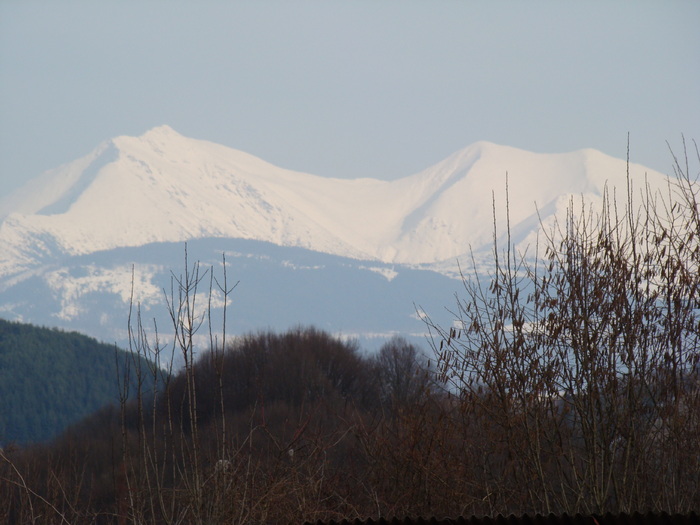 PIETROSUL RODNEI
