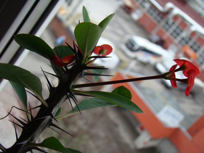 DSC03301