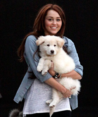 miley2 - Liam si Miley