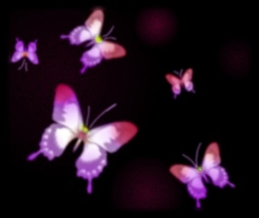 butterfly_pink_1 - Fluturi