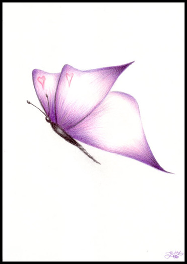 purple_butterfly2 - Fluturi