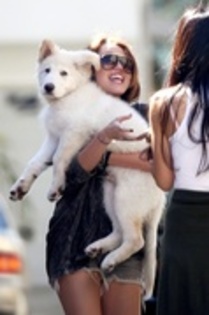 11440480_GPVRLGWKR - miley e tare love love miley hannah