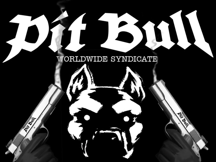 PitTop3 - Wallpapers pitbull