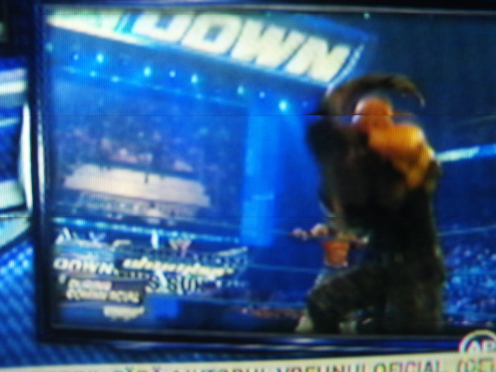 12 - poze din meciuri de wrestling noi