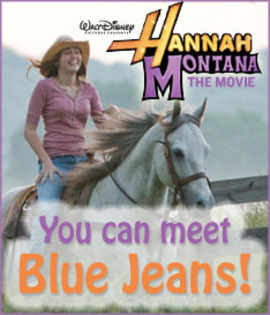 6a00e54ed05fc288330115711526ff970c-800wi - Hannah Montana Old Blue Jeans00