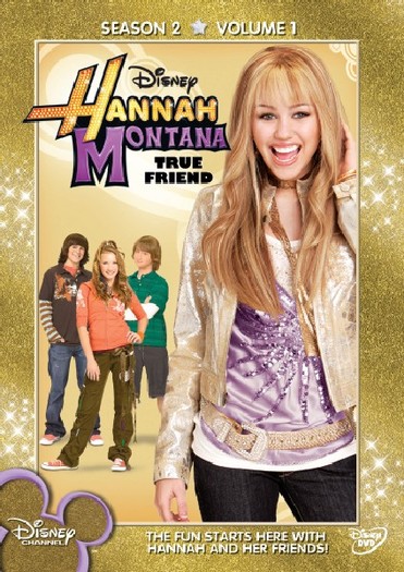1020233 - Hannah Montana Nobodys Perfect00