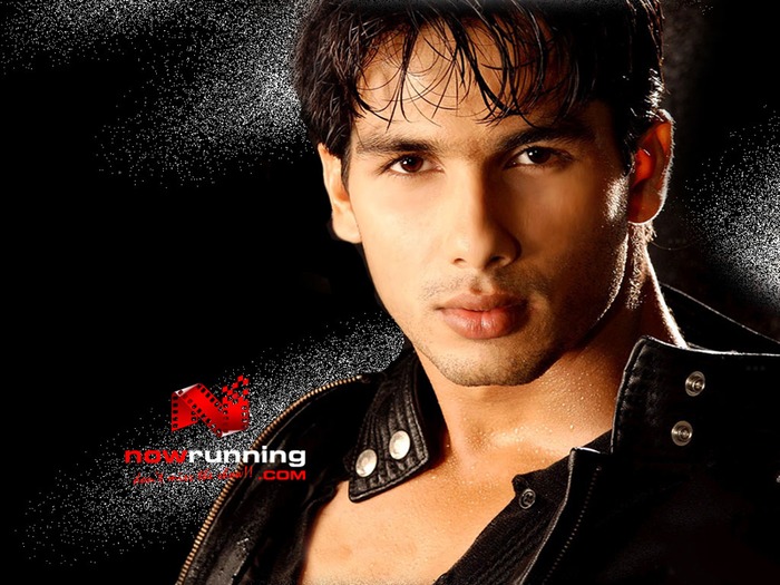 ShahidKapoor_4_800x600 - Shahid Kapoor