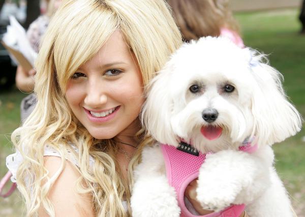 Ashley_Tisdale_1244570810_0