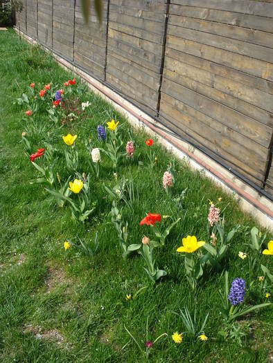 Spring colors (2009, April 10) - 04 Garden in April