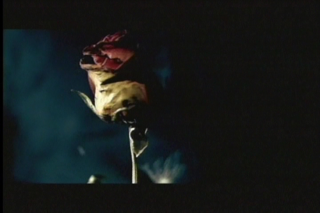 normal_PDVD_1165 - Videoclipuri