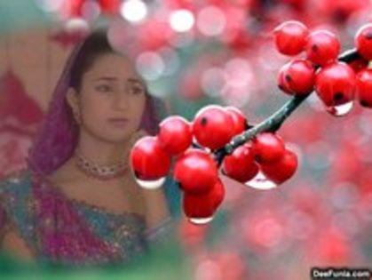 Divya