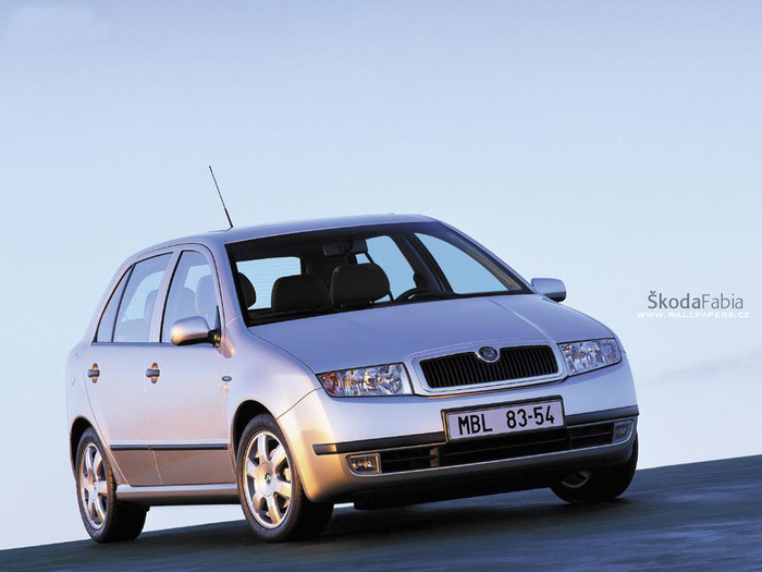 FABIA - masini tunate
