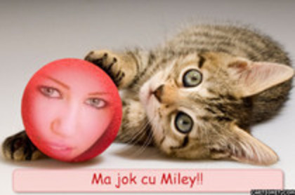 12807139_OOJMZBGJQ - aici arat cat de mult o iubesc pe miley hannah